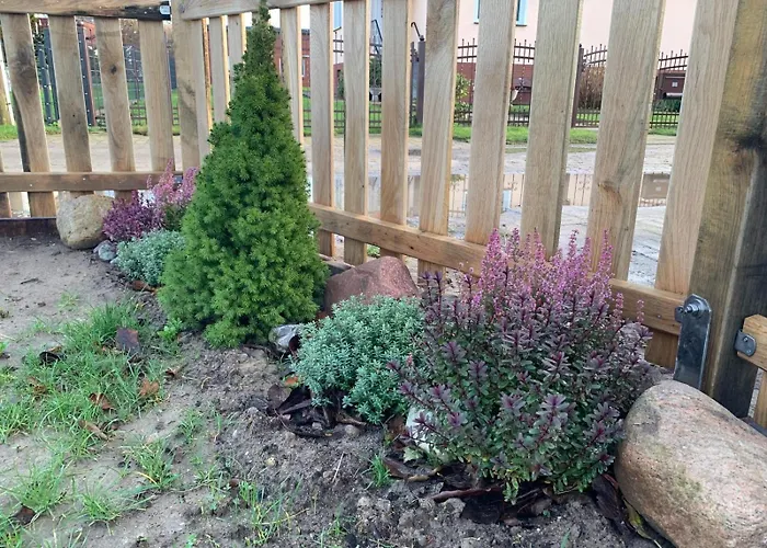 Look Semesterbostad *